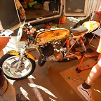 DSCN5617
