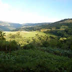 DSCN9284