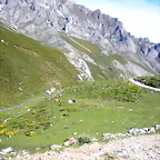 DSCN8184