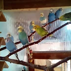 IMG_20181229_124250