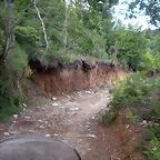 DSCN4240