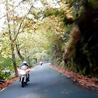 DSCN1082