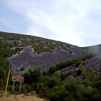 DSCN8610