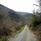 DSCN4029