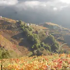 DSCN4458