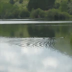 DSCN6173