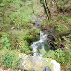 DSCN4229