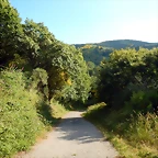 DSCN9254