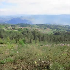 Imagen 037