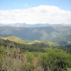 DSCN3940