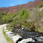 DSCN1043