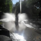 SDC10535