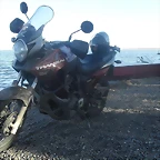 SDC10541