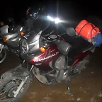 SDC10594