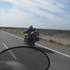 SDC10577