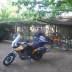 SDC10559