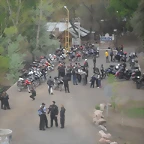 SDC10461