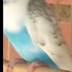 20190617_132938