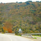 2-IMG_3839