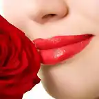 red rose