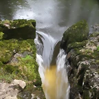 DSCN4178