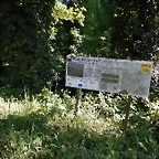 DSCN2412