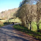 DSCN4090