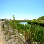 DSCN8173