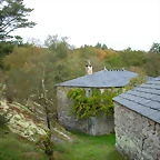 DSCN5748
