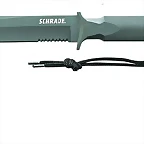SCHF2_large