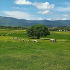 dehesa collado villalba