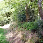 DSCN2091