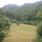DSCN4292