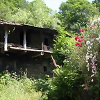 DSCN5751