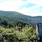 DSCN8245