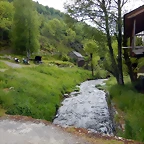 DSCN1273