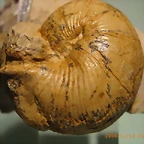 5cm