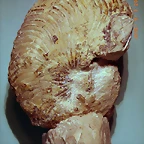 20cm