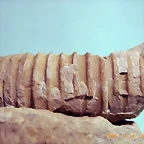 n3