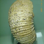 n4(1)
