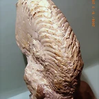 20c