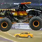 2014 30 El Toro Loco real2