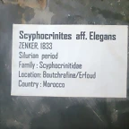 72536_490466277670437_1922180589_n