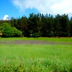 DSCN5180