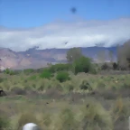 SDC11528