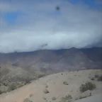 SDC11537