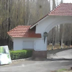 SDC11529