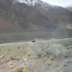 SDC11597