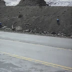 SDC11710