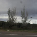 SDC11721